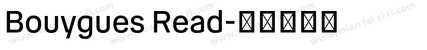 Bouygues Read字体转换